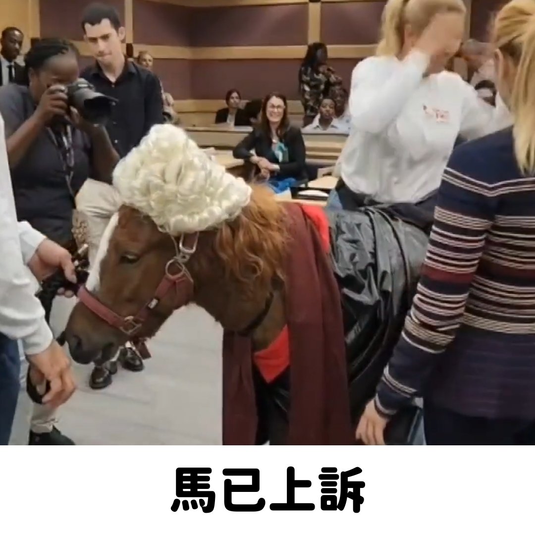 新細敏體 tweet media