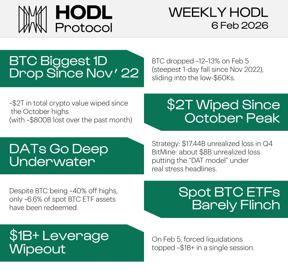 HODL Protocol tweet media