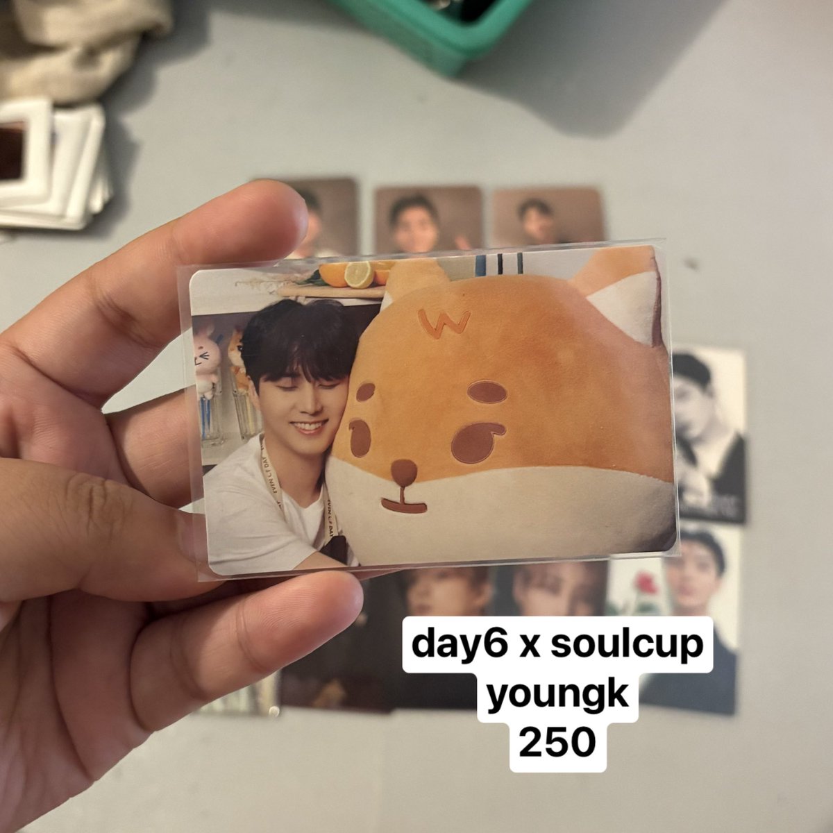 wonphil 🍞 tweet media