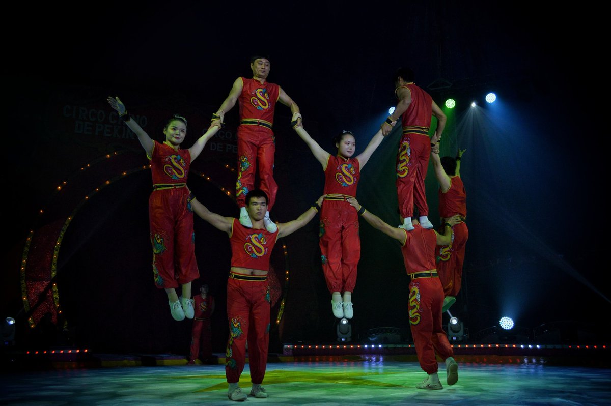 pepelemini's tweet photo. 🎪 Y tú, ¿desde hace cuánto no disfrutas de un show circense? 🤹‍♂️

🎎🇨🇳 Date la oportunidad de acudir con tu familia, pareja o amigos al Circo Chino de Pekín MR, ubicado sobre la #VíaAtlixcáyotl frente a #Angelópolis.

👌💯 Diversión, risas y calidad artística 100% garantizados. https://t.co/eSt2V8QKAs