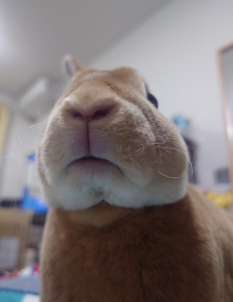 ここは天国か。。。
※我が家も探したらありました🤣