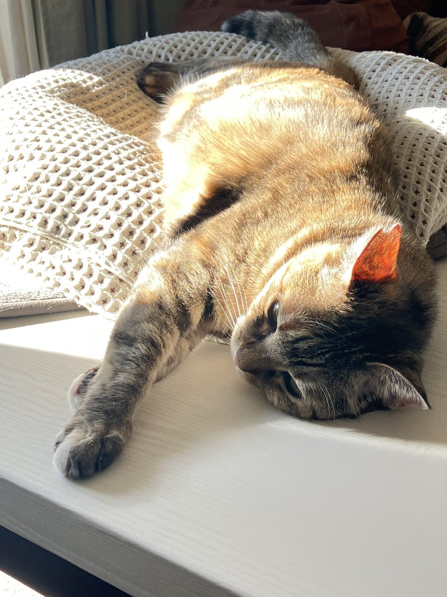 Jam or Pains. (@JamorPains) / Posts / X