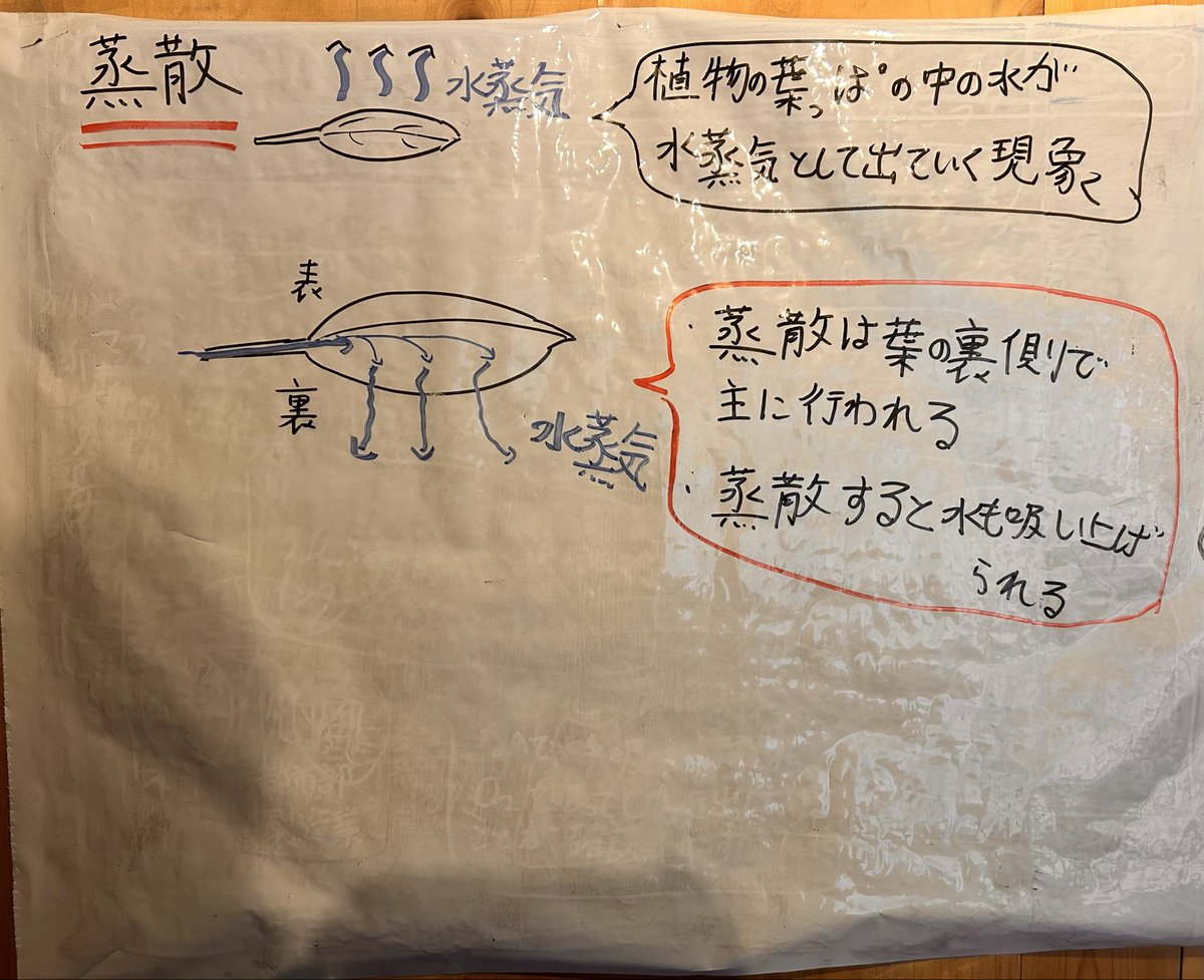 mooochan_codama's tweet photo. 【もおちゃん寺子屋98・99】
次回で、なんと100回目を迎えます。
理科も教科書でいうと、100ページ進んできました。
日本の歴史は、あと2回くらいで教科書の内容は完全履修です。
よくぞここまで。 https://t.co/1HGg2Bvzua