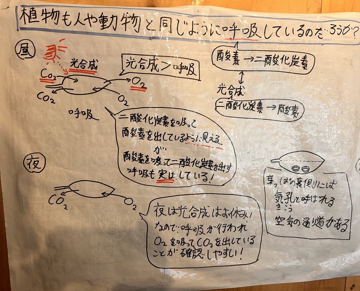 mooochan_codama's tweet photo. 【もおちゃん寺子屋98・99】
次回で、なんと100回目を迎えます。
理科も教科書でいうと、100ページ進んできました。
日本の歴史は、あと2回くらいで教科書の内容は完全履修です。
よくぞここまで。 https://t.co/1HGg2Bvzua