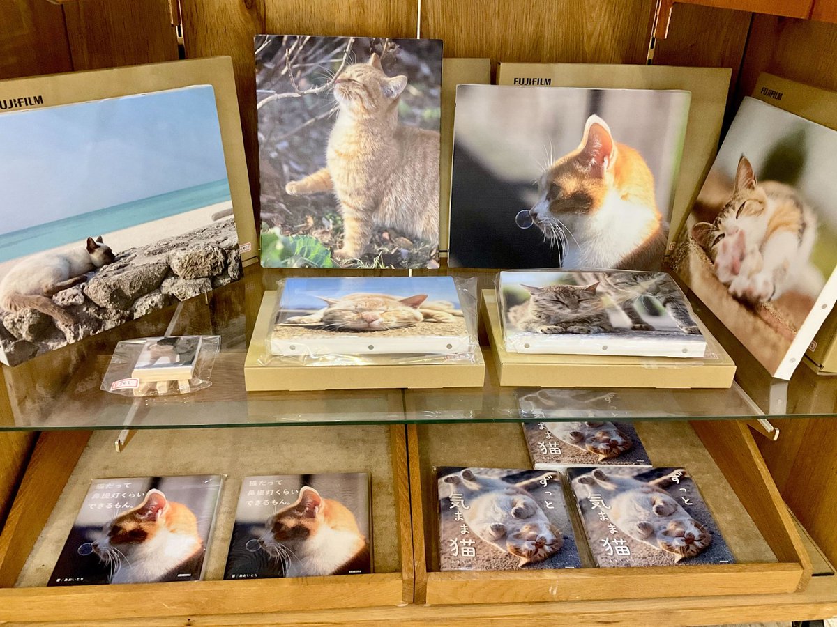 あんこ舎@ねこ休み展 (@anncosha) / Posts / X