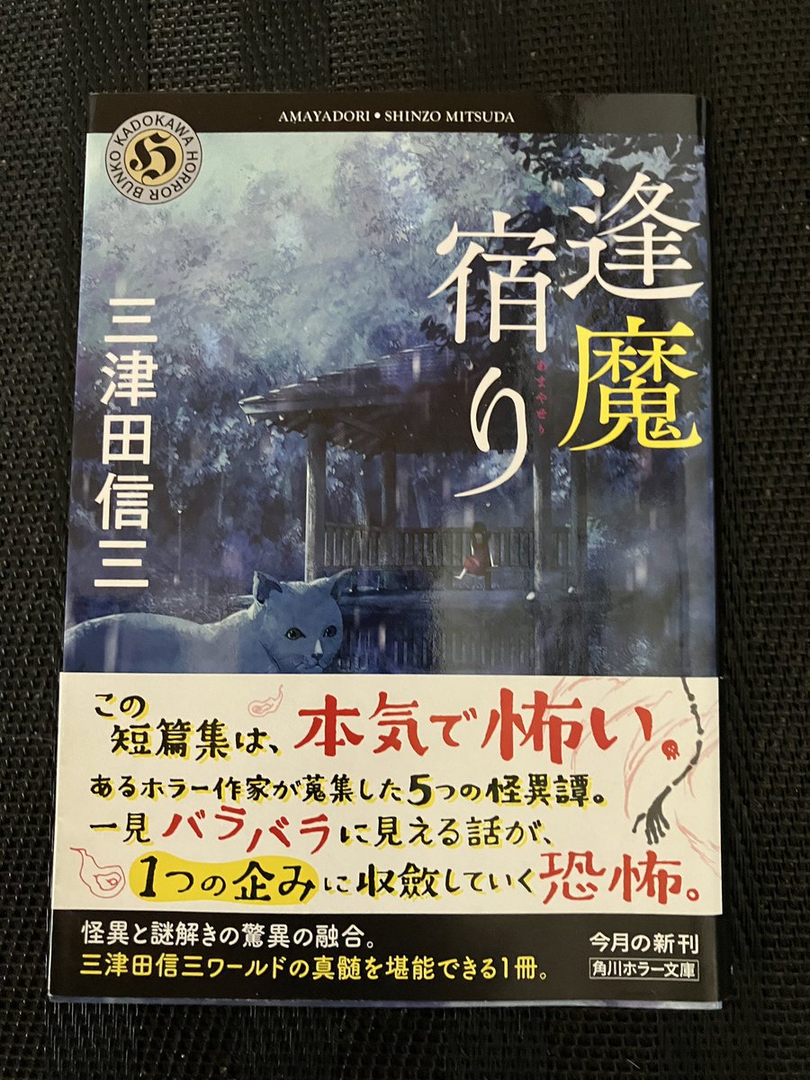読了

色んなホラー作家がいるけど、氏の作品は読んだどれもが当たりだった。この短編集、帯にも書いてあるように最後まで読むと仕掛けがわかる仕組みである

次は何読もう