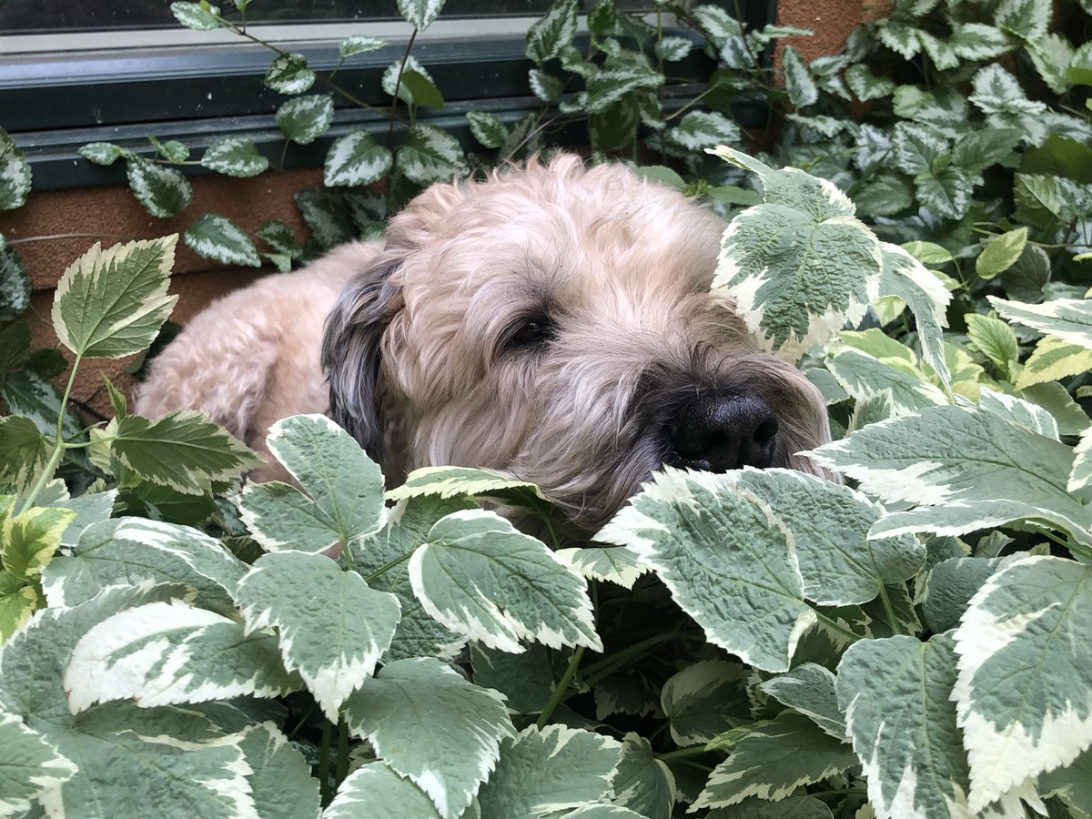 Matt Tucker tweet media