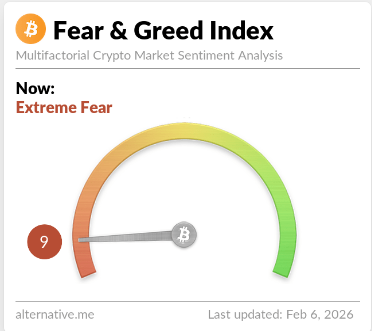 crypto data tweet media