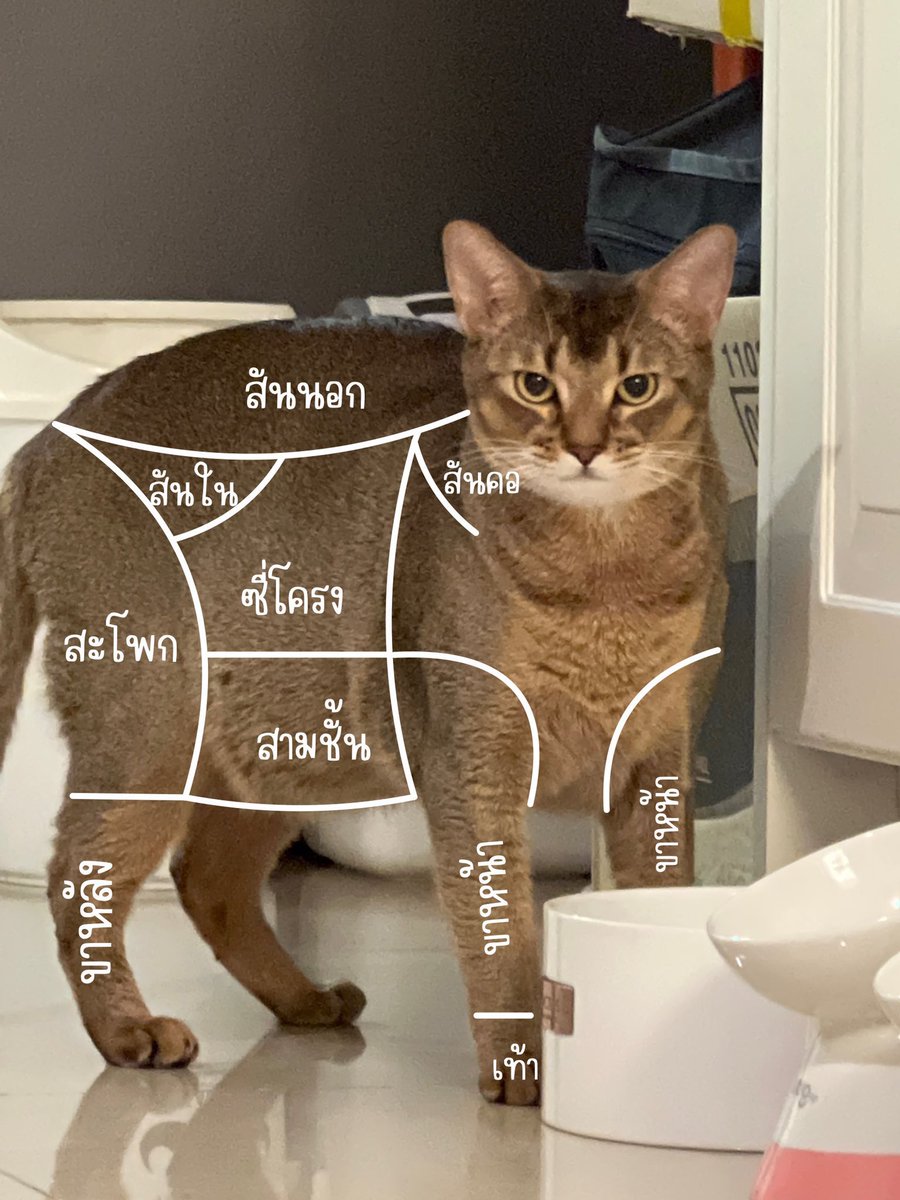 คุณลูกค้าต้องการเนื้อส่วนไหนดีคะ