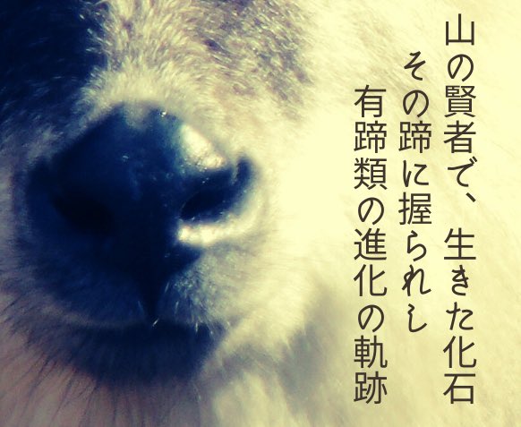 ここ、韻踏んでる。