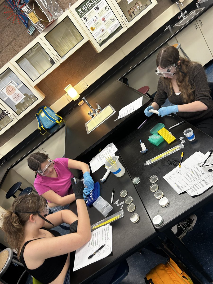 SMCAmaro's tweet photo. AP Bio experimenting with CRISPR!  Go Falcons!  🔬🧬 https://t.co/h61YNTixxt