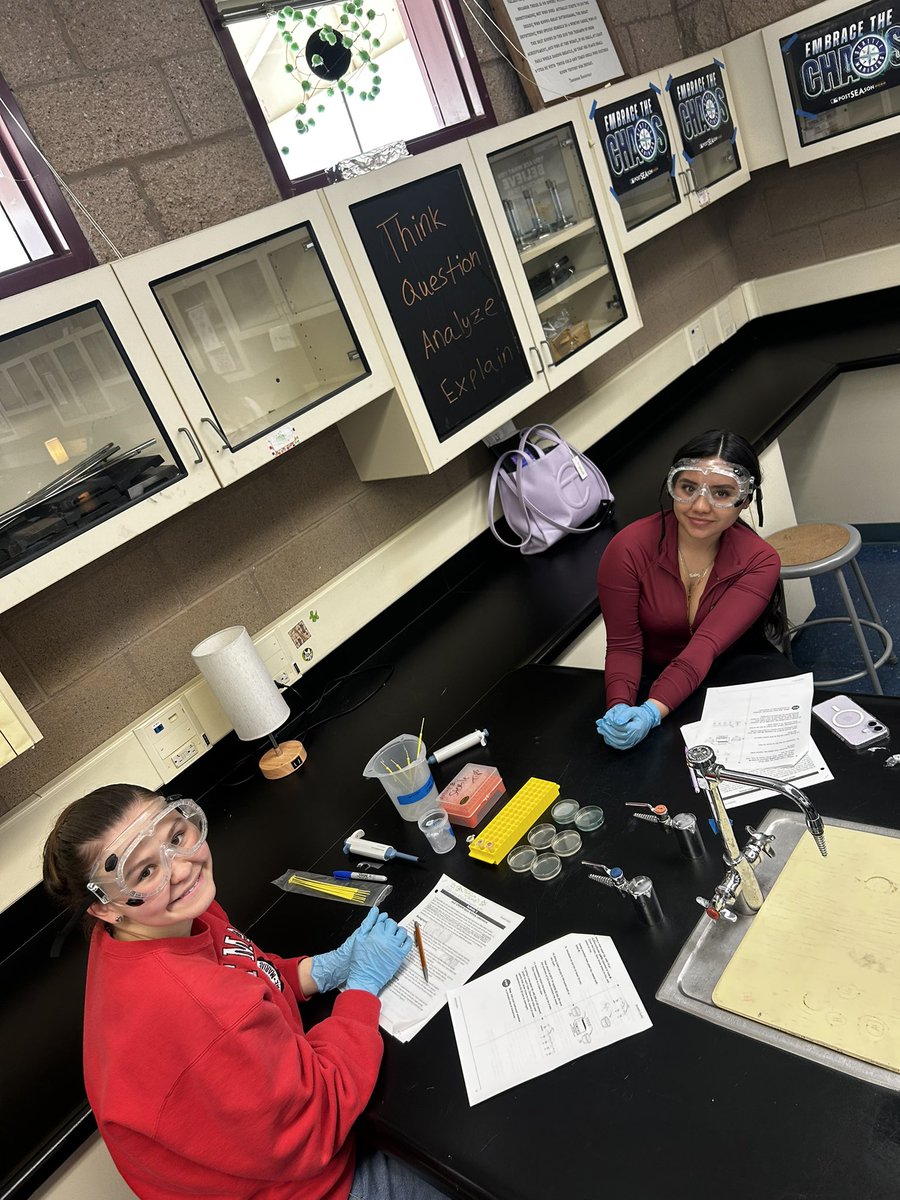 SMCAmaro's tweet photo. AP Bio experimenting with CRISPR!  Go Falcons!  🔬🧬 https://t.co/h61YNTixxt