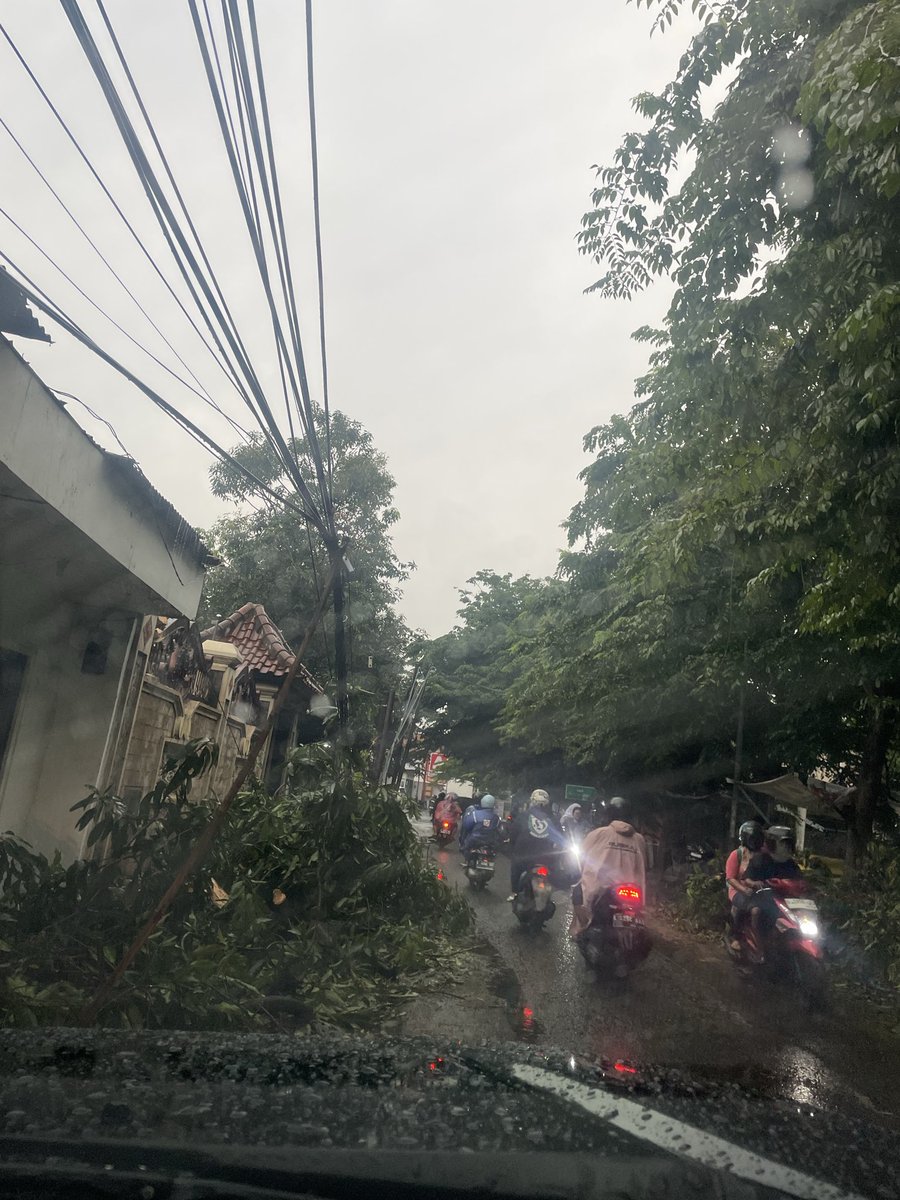 dewiendrawati's tweet photo. @dkrthsby sy penghuni jaln kawi surabaya. Mohon dibantu membersihkan sampah ranting &amp; dahan pohn tumbang yg sudah dipotong oleh 112 sbg respon thd laporan warga jl kawi selasa lalu. Trm ksh sdh gercep. Sayng sampahnya smpai detik ini msh berserakn di depan rumah sy dan tepi jln. https://t.co/nzzcAFFBXl