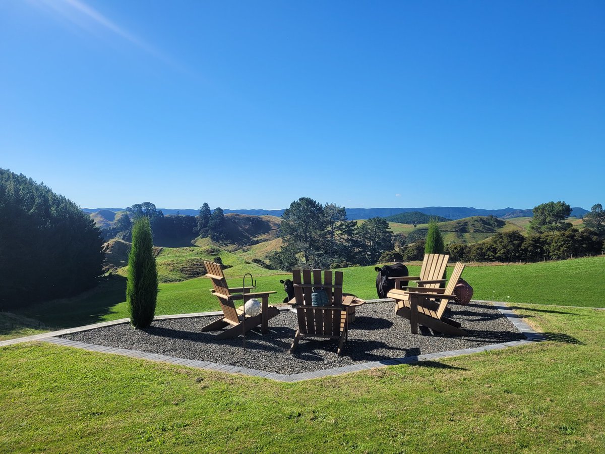 Tesha 🇳🇿 tweet media