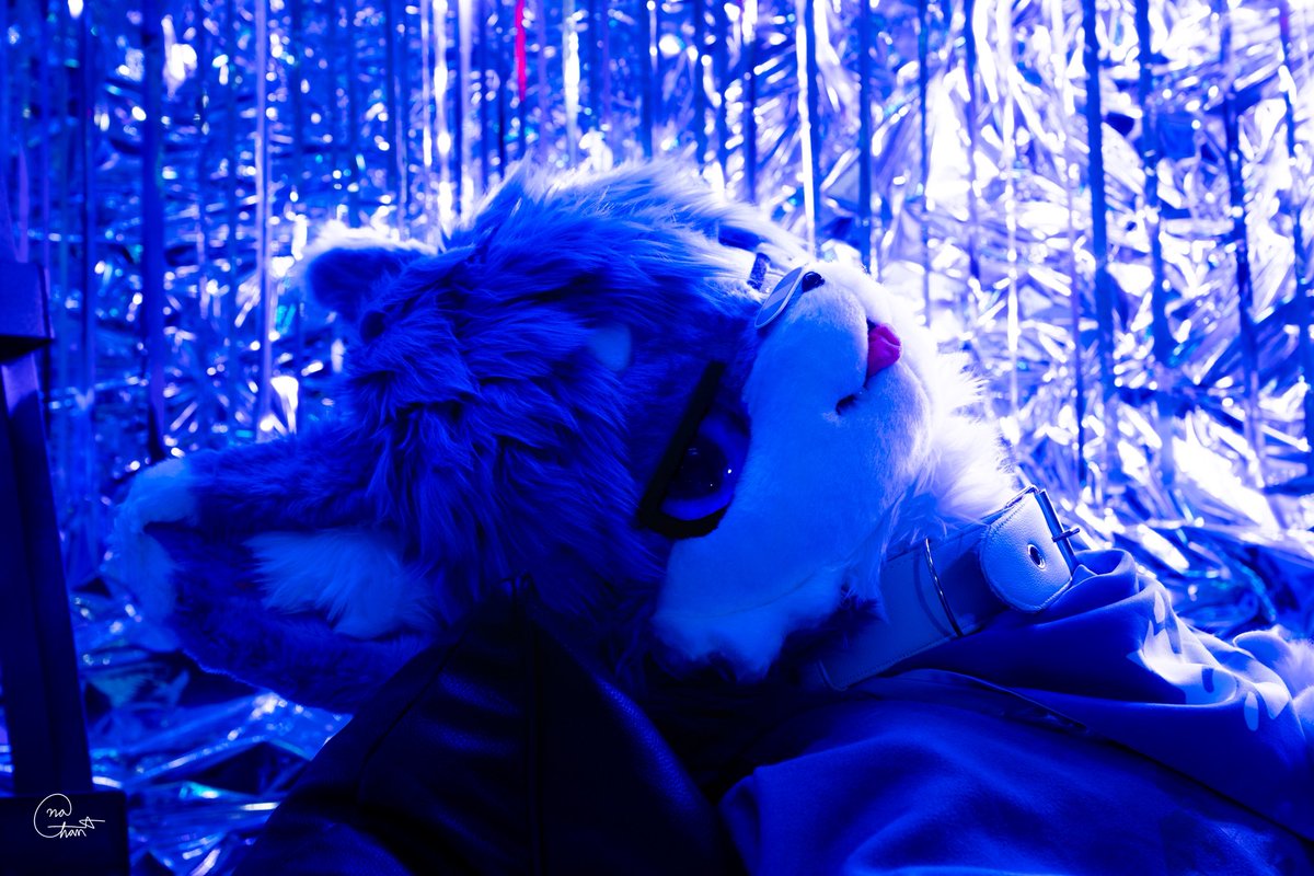 #FursuitFriday #fursuit #아이돌을_하랑

가끔은, 이런 치명적인 자세도 좋다고 생각해! 어때? 나 멋져?!