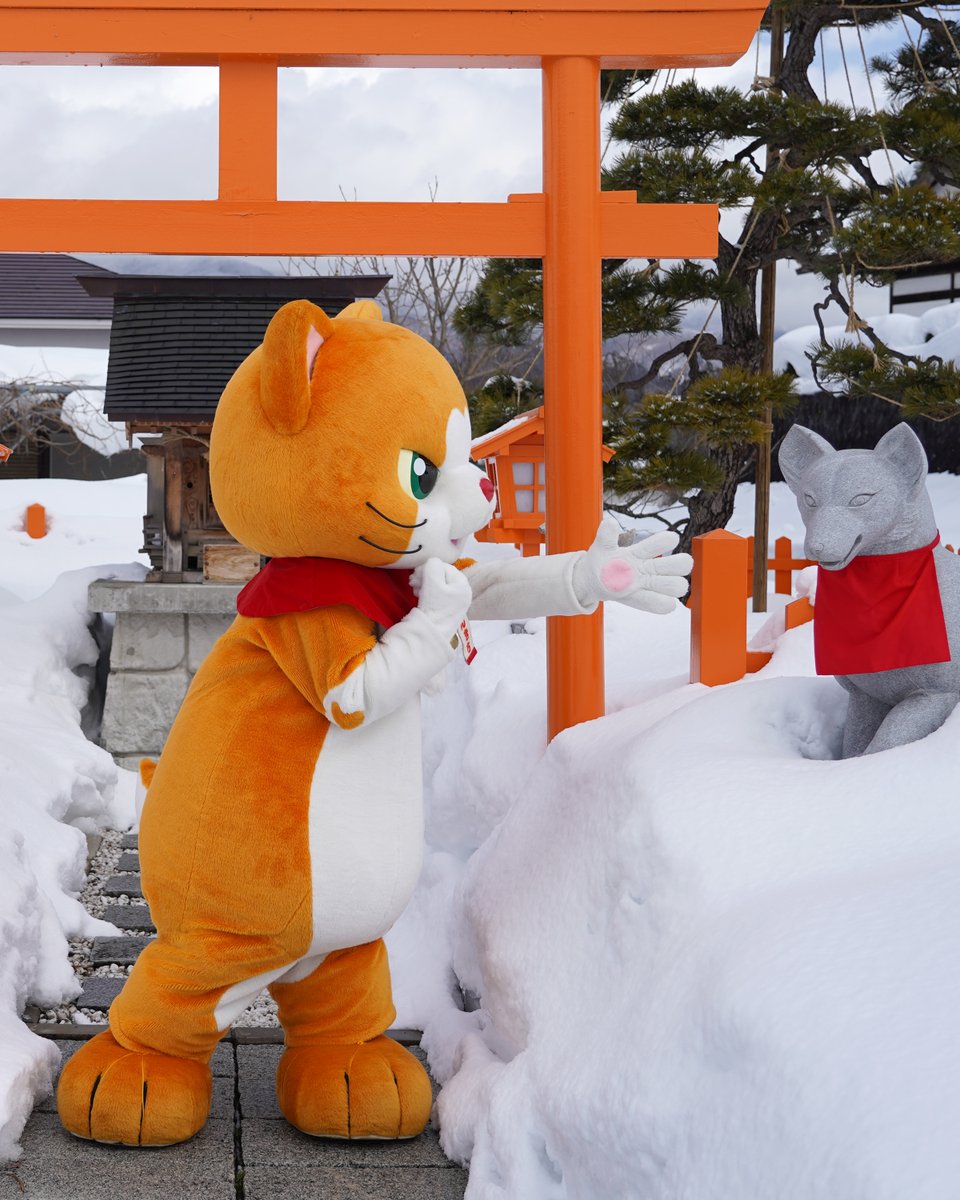 にゃん吉【公式】Nyankichi (@cat_nyankichi) / Posts / X