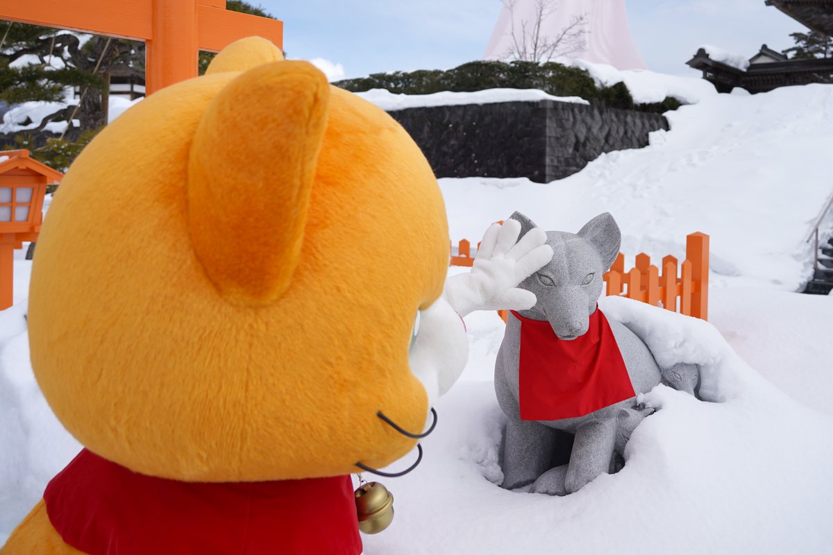 キツネさんにゃ！ モフモフおててでよしよしにゃ💖✨