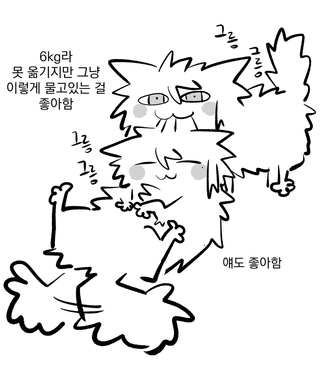 사과는 애쁠 tweet media