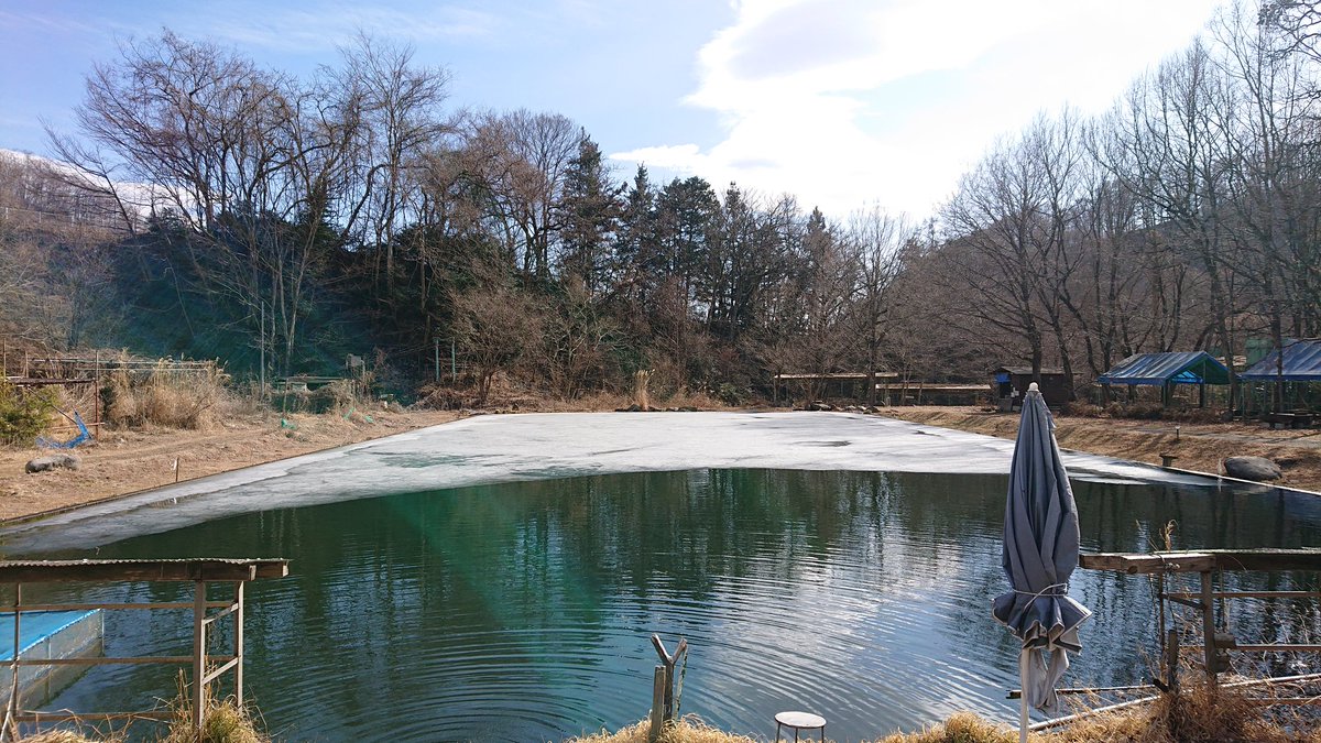 tugane_turibori's tweet photo. 今日は穏やかで暖かいです☀️
釣り堀も溶けてます🧊

3月20日から再開します☺️
よろしくお願いいたします🙇 https://t.co/JZ1BJypfNR