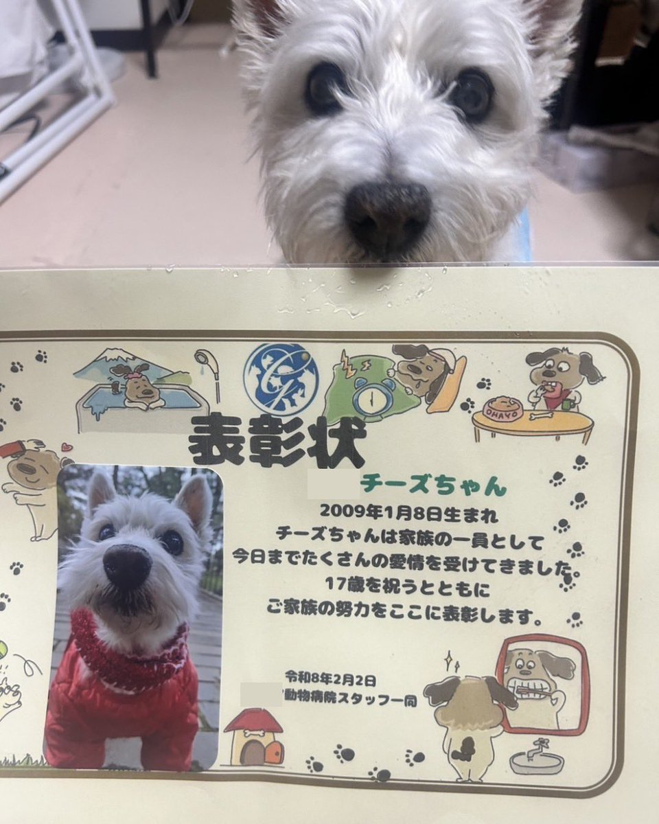 ちーちゃんですけどもっ第3巻予約発売中です❗️ (@ymc_cheezu