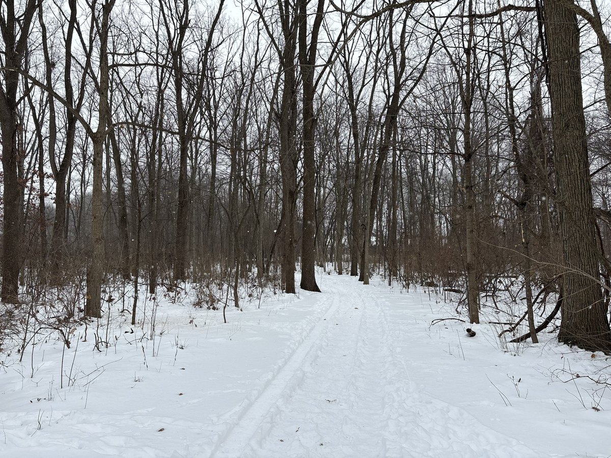 happy Thursday ‼️

twitch.tv/awsumlol