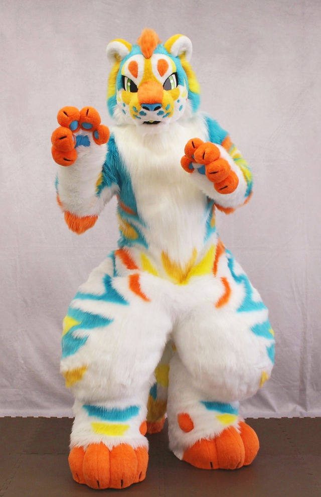 🐾Keda Marche🐾 tweet media