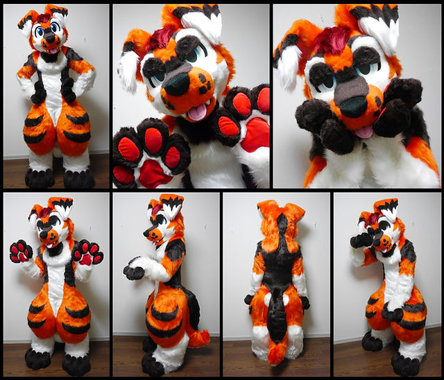 🐾Keda Marche🐾 tweet media