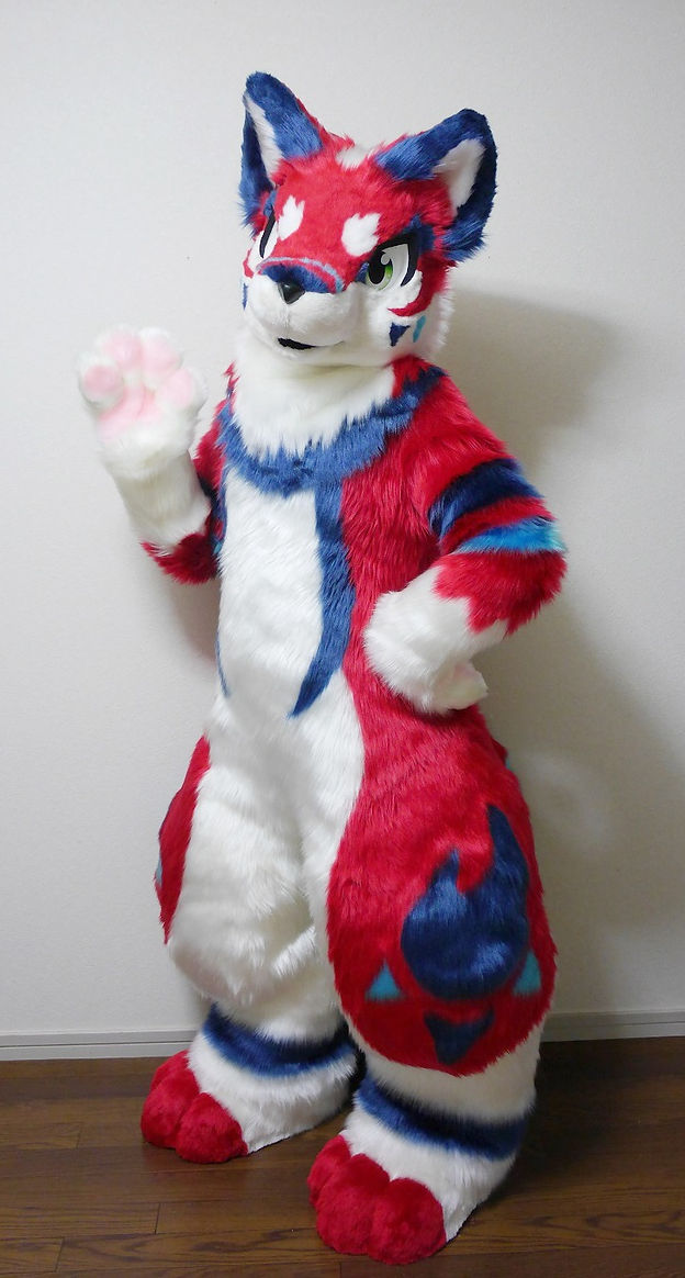 🐾Keda Marche🐾 tweet media