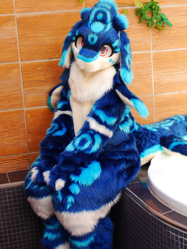 🐾Keda Marche🐾 tweet media