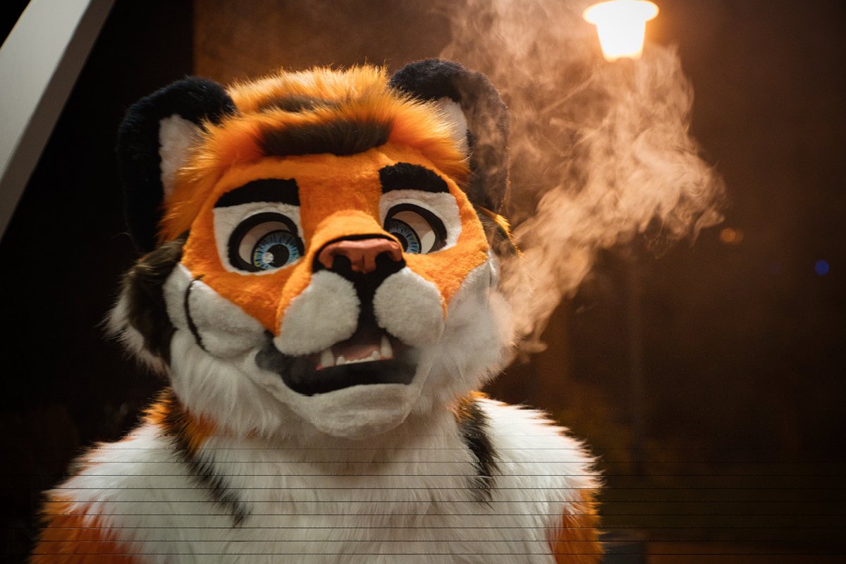 Luca Tiger 🇩🇪 tweet media