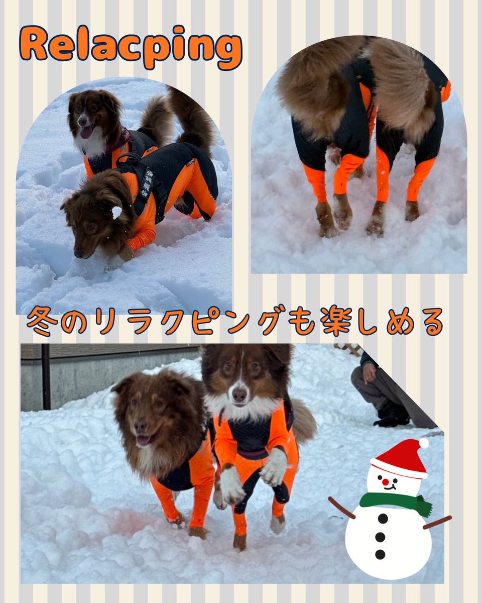 relacpingrv's tweet photo. ご来店頂いたお客様💁‍♀️雪が沢山積もっているのでわんちゃんはドッグランエリアで雪遊び楽しんで頂けました☺️RVパークアワード入賞記念キャンペーン2026年2月1日 ～ 2026年3月19日。平日・休日問わず、貸切風呂＆サウナを《通常料金の半額》
オリジナルステッカーをプレゼントいたします。#リラクピング https://t.co/IsDvngcZzi