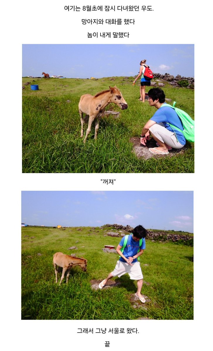 eppqir's tweet image. 여기는 8월 초에 잠시 다녀왔던 우도
망아지와 대화를 했다
놈이 내게 말했다

"꺼져"

그래서 그냥 서울로 왔다
끝
