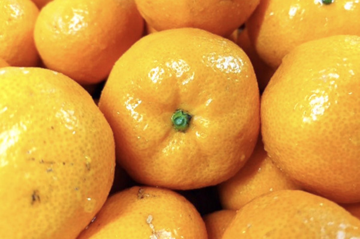 AashikKuldeep's tweet image. フォロー＆この投稿をいいねリポストで、糖度11.0以上愛媛西宇和産 小玉 みかん 3kg 「小玉みかん」を3名様にあげます。締切2/9 23:59まで