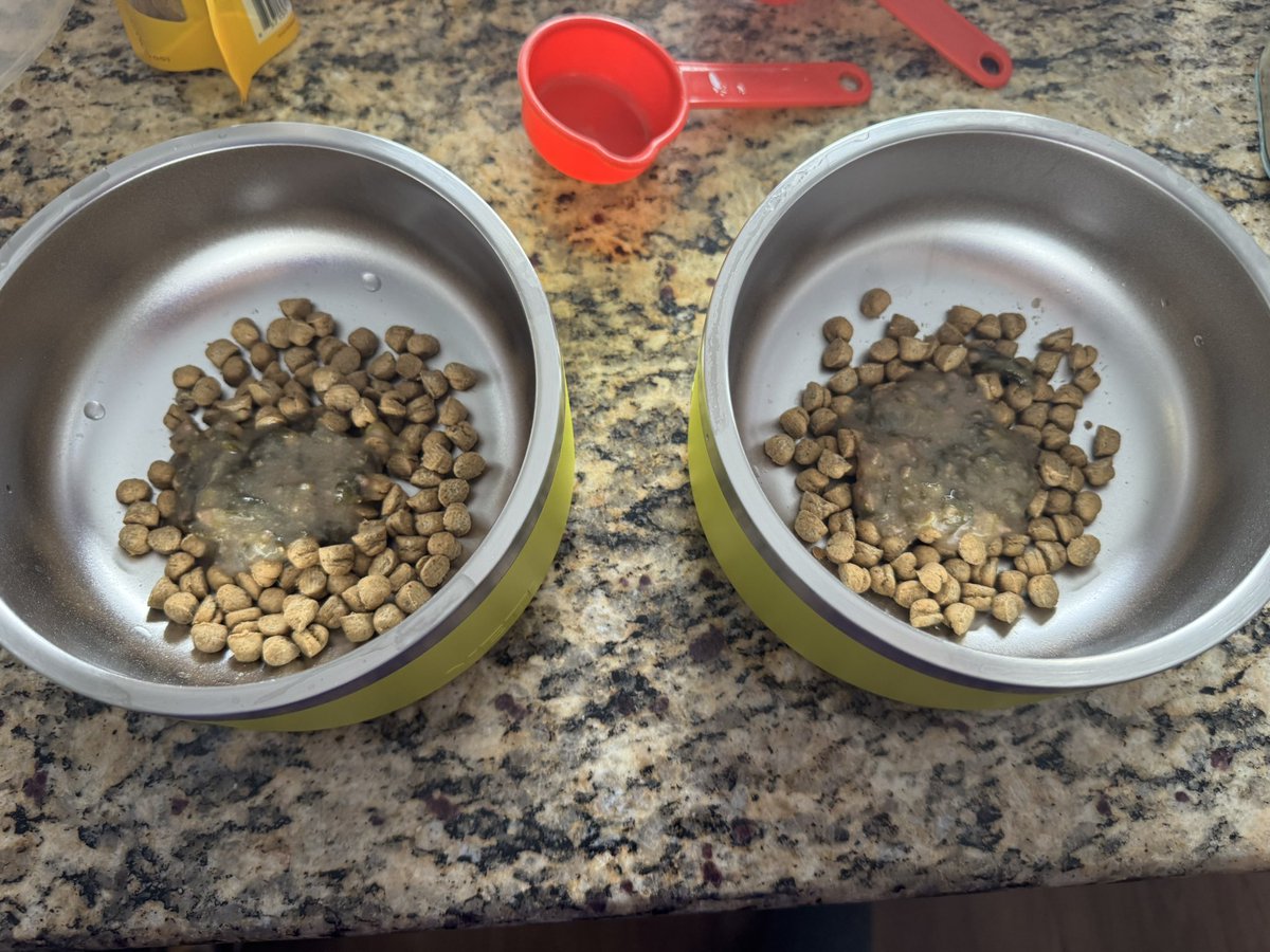 Really like the new bowls <a href="/YETICoolers/">YETI</a> , but would it be possible to see in a 2 cup version? My babies food amount never looked so small…