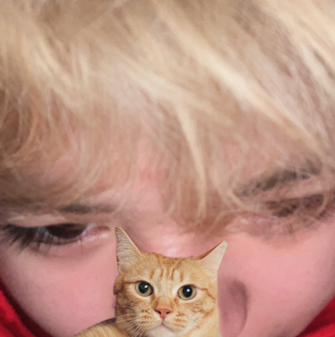 alex ENHYPEN IS 7 tweet media