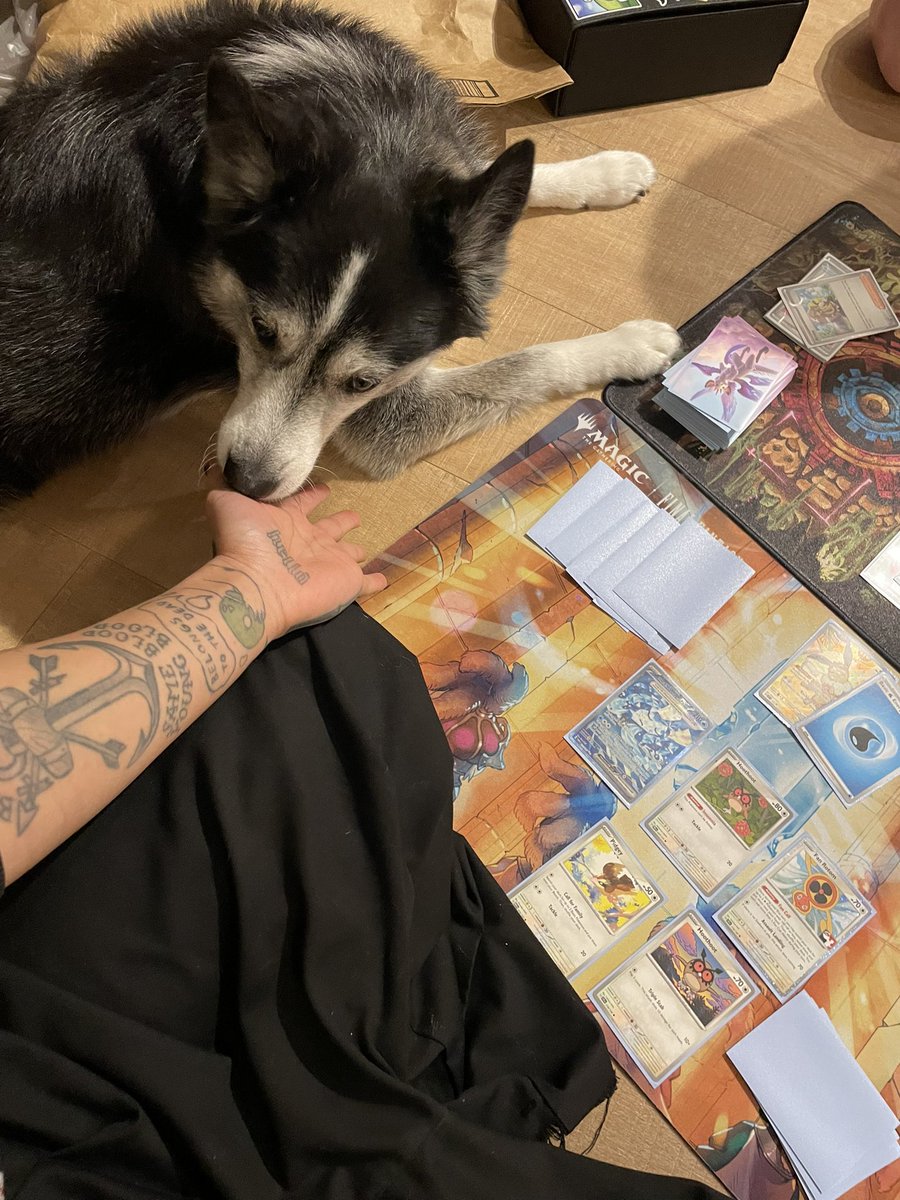 reiabeamz's tweet photo. estrogen and card games saved my life actually https://t.co/KF1P5XKFWY