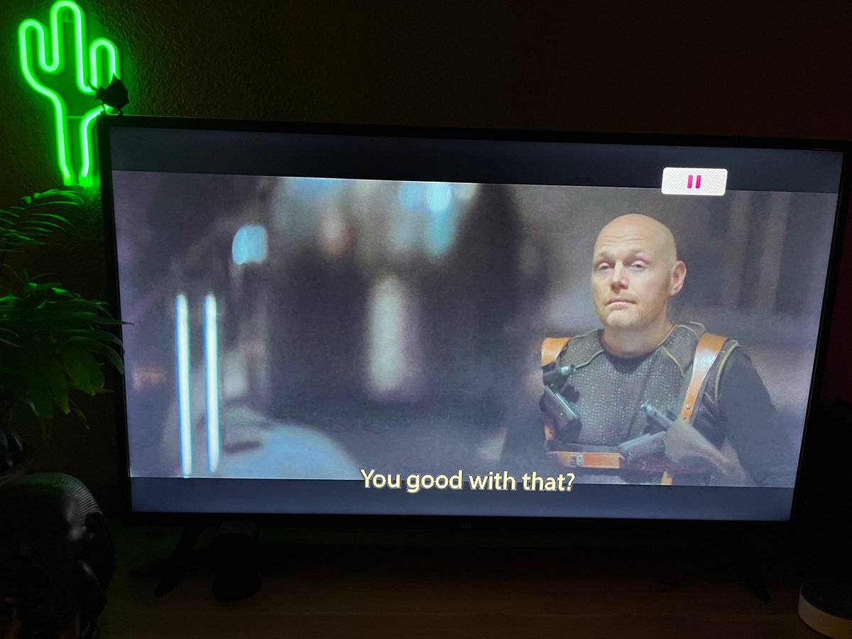 Bill Burr is an anchor on the neck of this show. You could have cast any number of a thousand other actors in this part and given them their break. I’m constantly perplexed by the cameos this show feels obligated  to crowbar in.