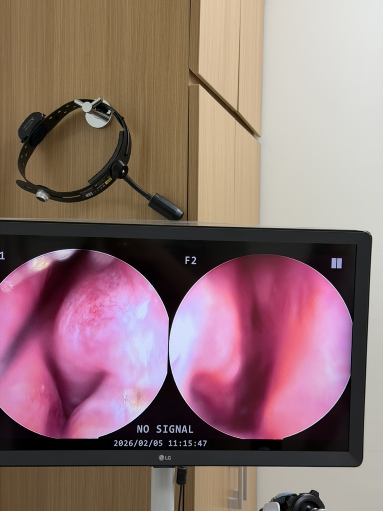 Steve Lauda tweet media