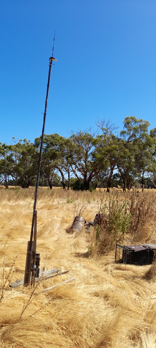 Agvocate_Au tweet media