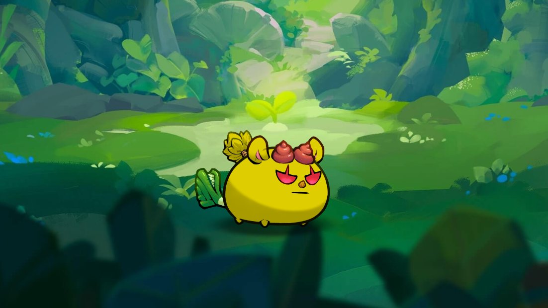 Jihoz.ron tweet media