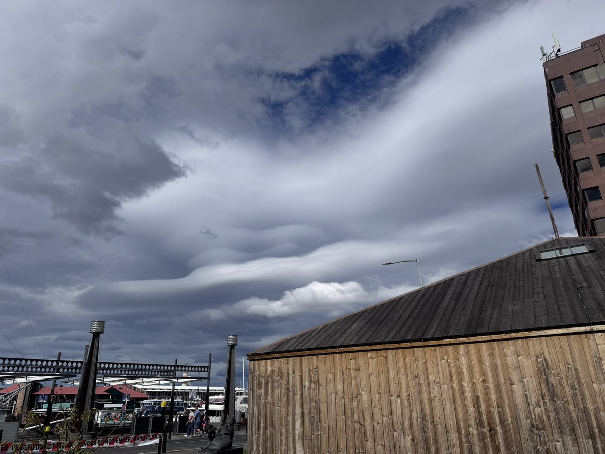 Cool Dad now on BlueSky (same handle) tweet media