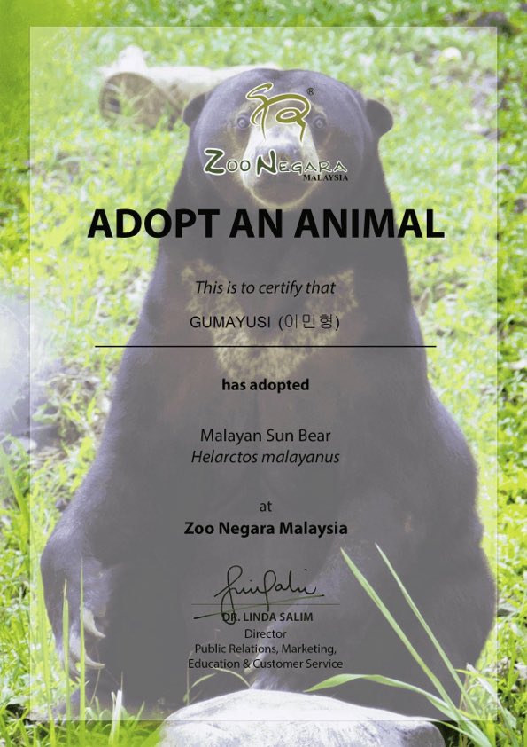 woojechhichi's tweet image. in celebration for guma's birthday, i've decided to adopt a sun bear under his name 🐻 

HAPPY 25th BIRTHDAY GUMABEAR &amp;lt;3

#HAPPYGUMAYUSIDAY