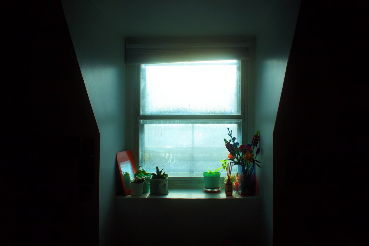 Chaos from your local ghost tweet media