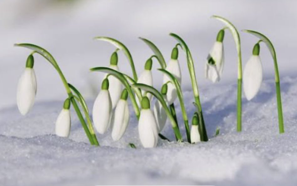 St Martin in the Cornmarket tweet media