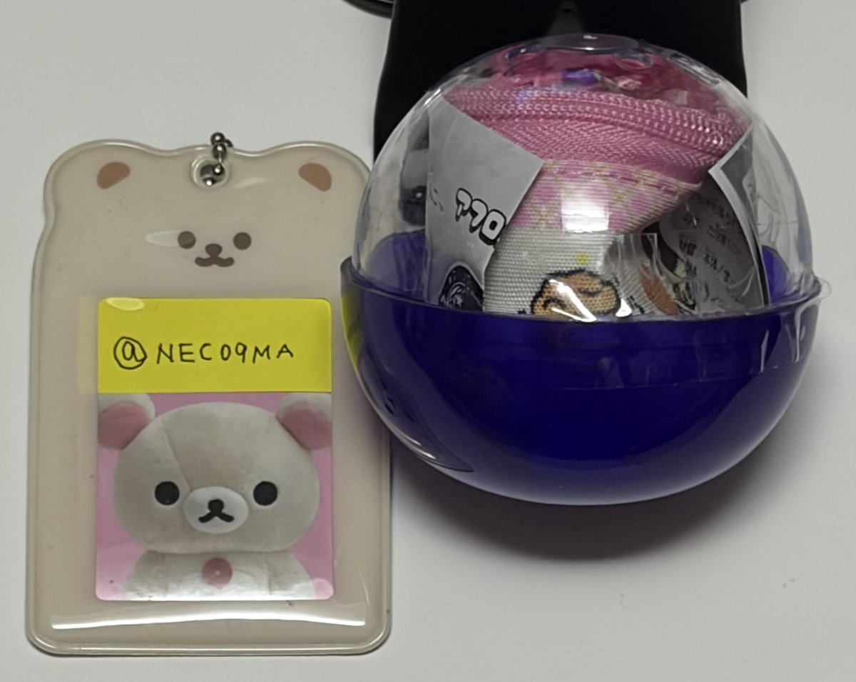 ねこっくま🍓 tweet media