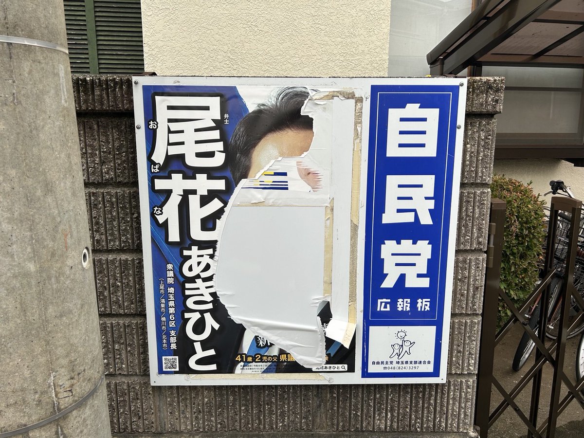 ぽよぽよちゃん。 (@poyopoyochan) / Posts / X