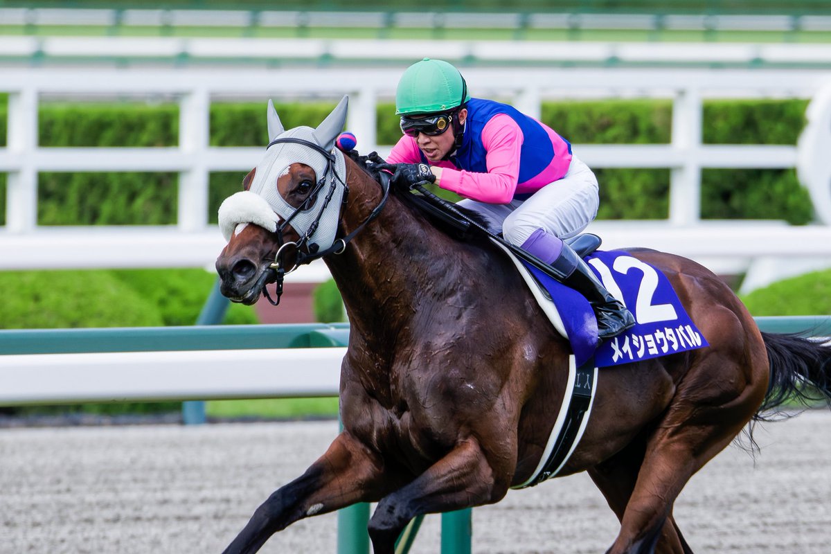 メイショウタバル