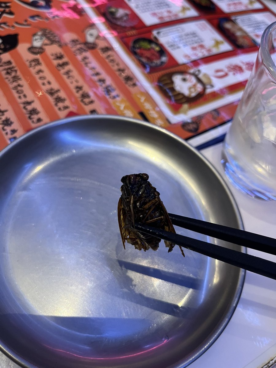 パンとサーカスきてる

スズメの丸焼きは足が美味い

蝉はポテトフライみたい🍟