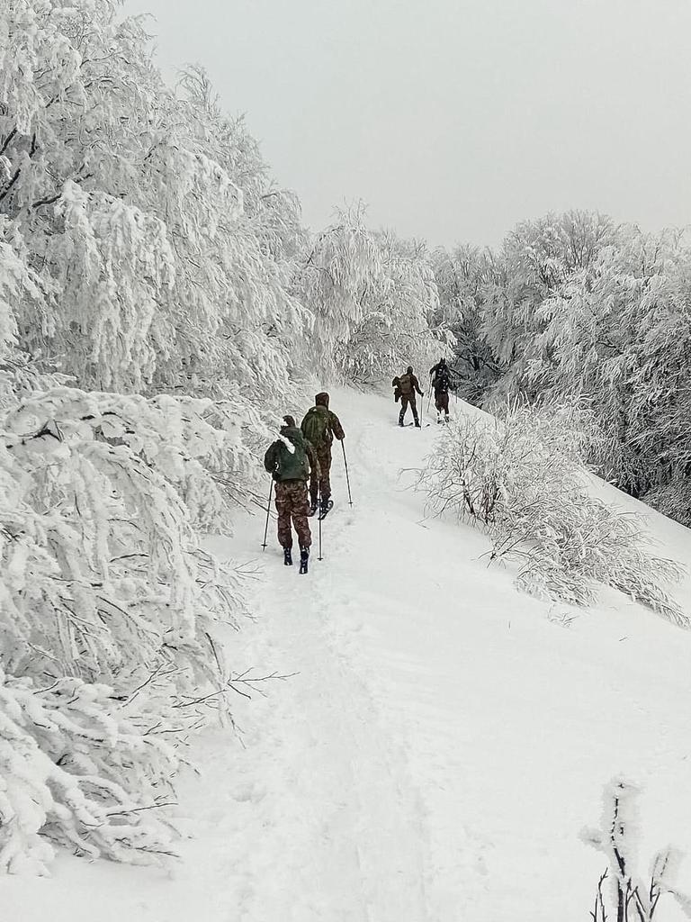 21 Brygada Strzelców Podhalańskich tweet media