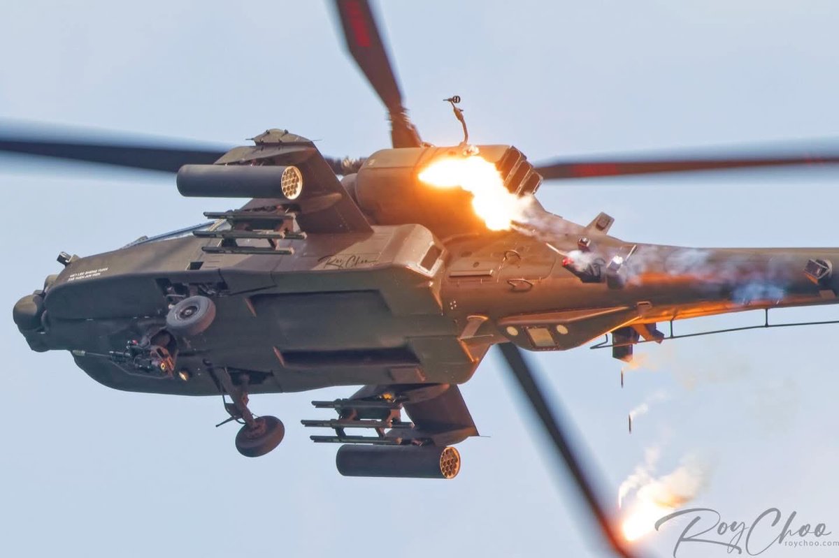 Roy Choo tweet media